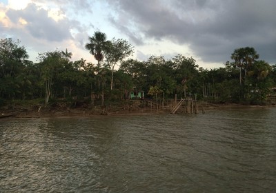 Inventário florestal será base para implementação de políticas públicas