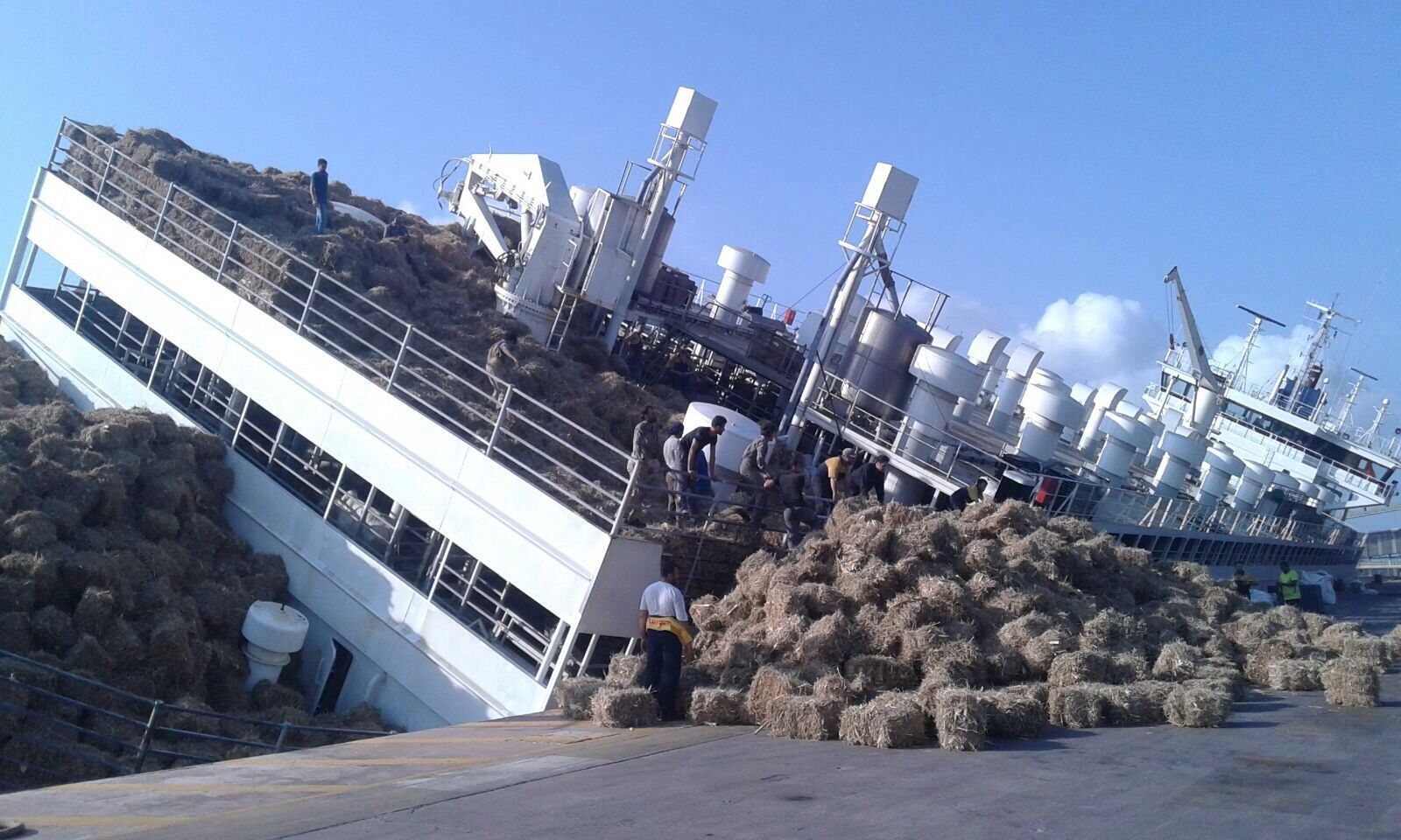 Defensoria do Pará discute naufrágio com Minerva e CDP