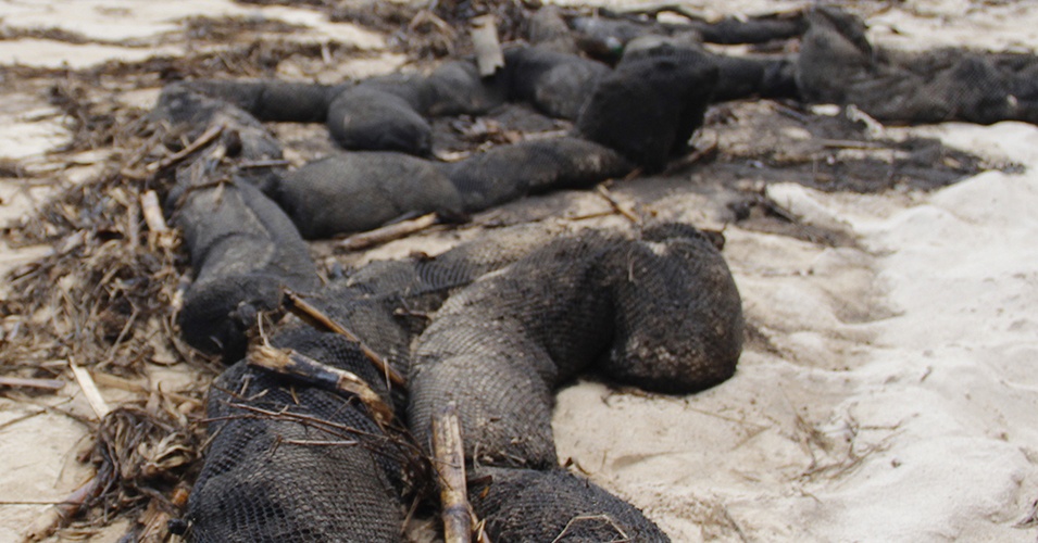 Retirada do navio deve levar 5 meses