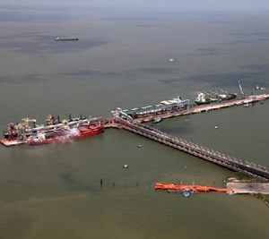 Embarques de bois vivos no Pará continuam suspensos