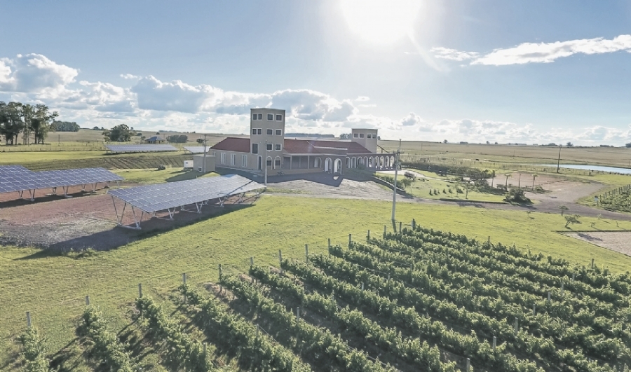Oferta de crédito impulsiona uso de energia solar na agricultura