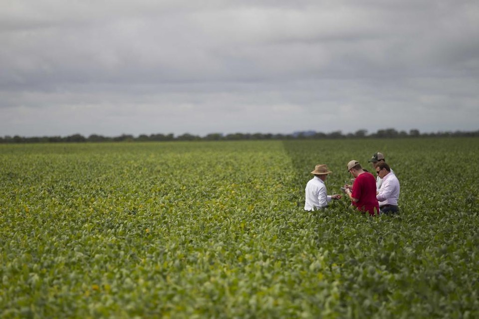 Agricultura 4.0 revoluciona o campo e gera ganhos para os produtores