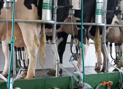 Bancada ruralista critica fim de tarifa antidumping no leite