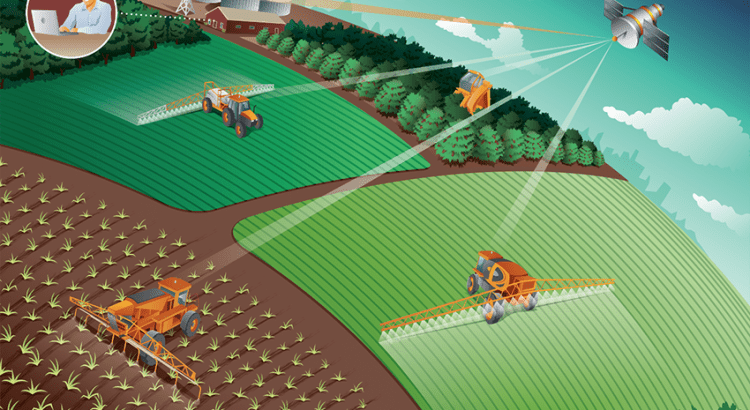 5 DICAS SOBRE AGRICULTURA DE PRECISÃO