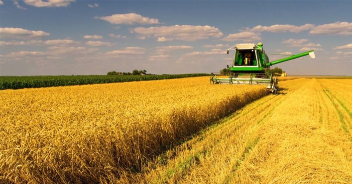 6 dicas para aumentar a produtividade em sua produção rural