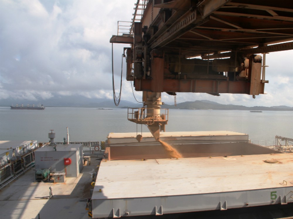 Importação de soja brasileira pela China recua 31% em maio com reflexos da peste suína