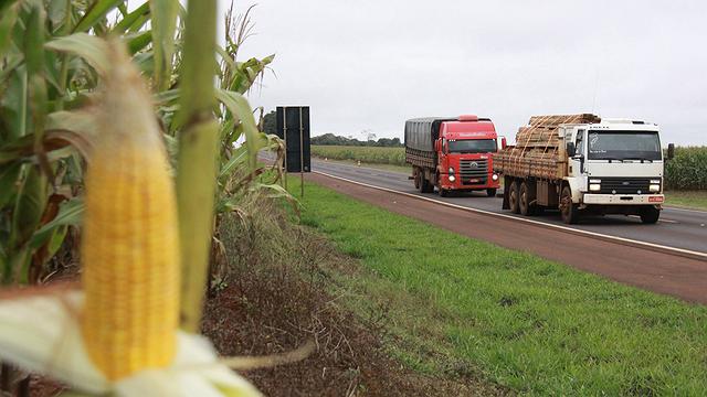Tabela de frete: Saiba onde o produtor vai gastar mais