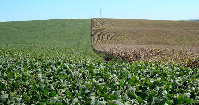 Valor da produção agropecuária do Brasil em 2019 é estimado em R$ 603,4 bilhões
