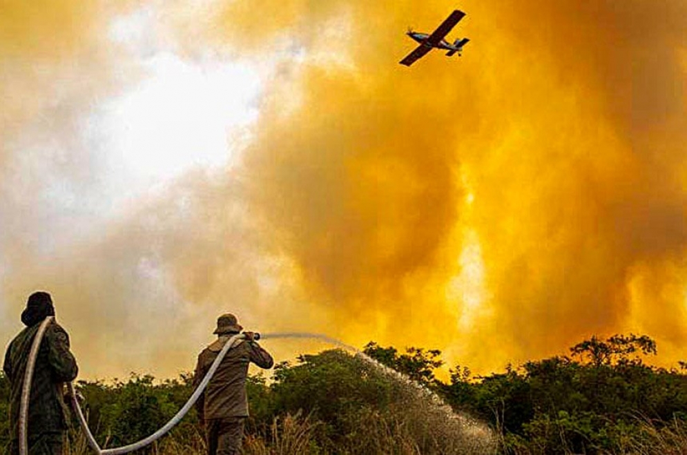 Senado aprova aviação agrícola no combate a incêndio florestal; texto vai à Câmara