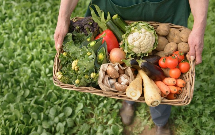 Programa de Alimentos da ONU leva Nobel da Paz