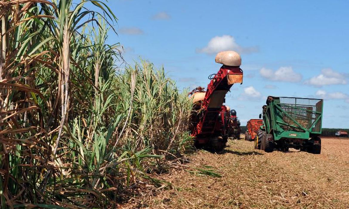 Valor da produção agrícola foi recorde em 2019 e atingiu R$ 361 bilhões