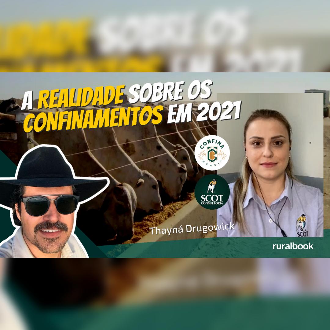 A realidade sobre os confinamentos no Brasil em 2021 #pecuaria