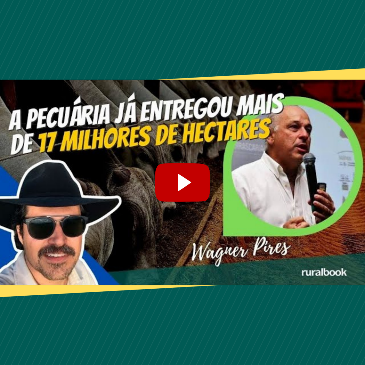 A pecuária já entregou mais de 17 milhões de hectares para a agricultura
