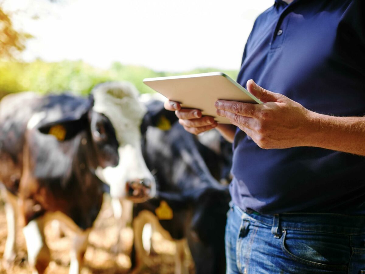 Você usa email? então você é um “Pecuarista Digital” e não sabia