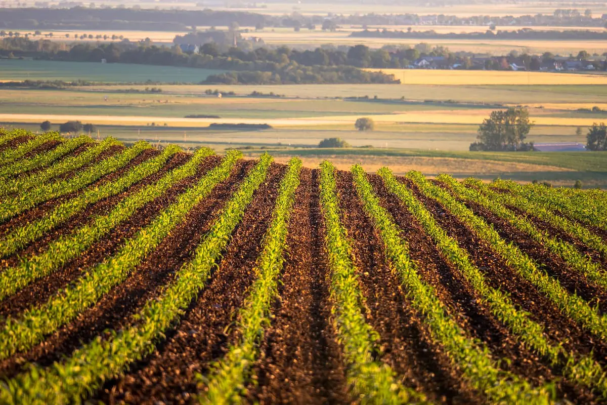 PIB do agro vai cair: não é surpresa, não é culpa dele e não é o fim do mundo