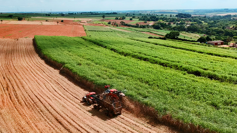 Quebra de Safra: Tenho que pagar arrendamento?