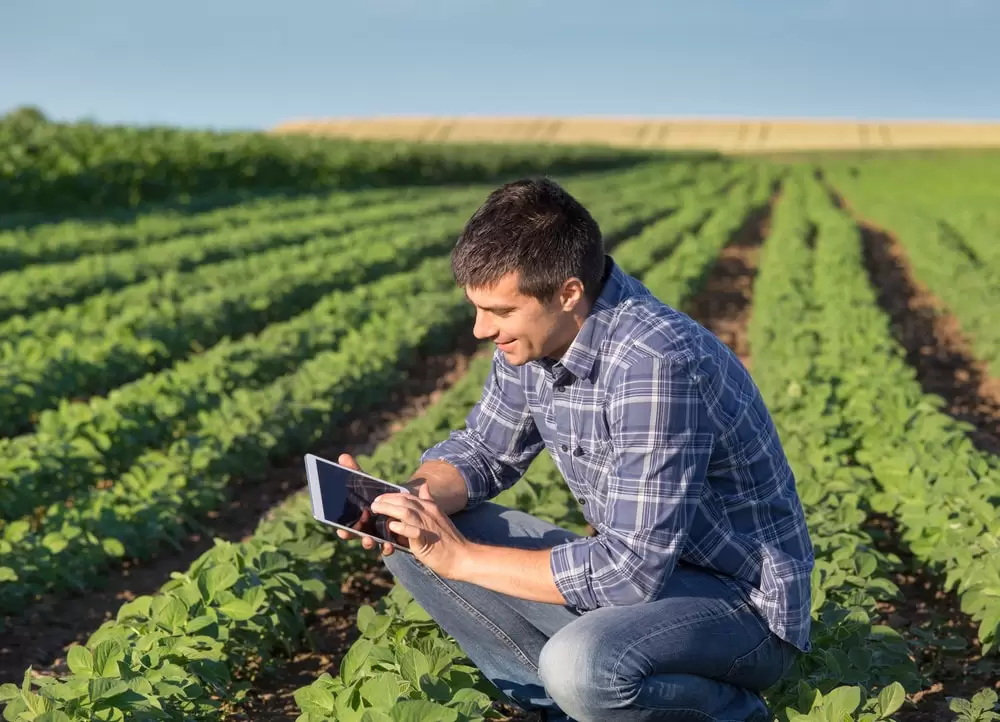 Governo federal vai lançar pacote de crédito agrícola