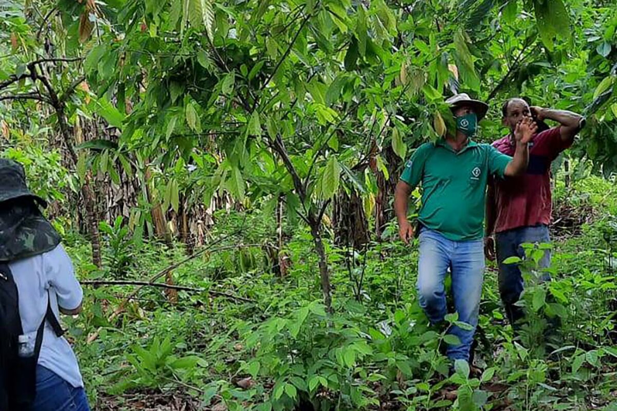 Emater apoia produtores com políticas públicas, em Goianésia