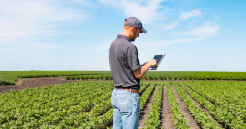 A educação como caminho para desmistificar o agro