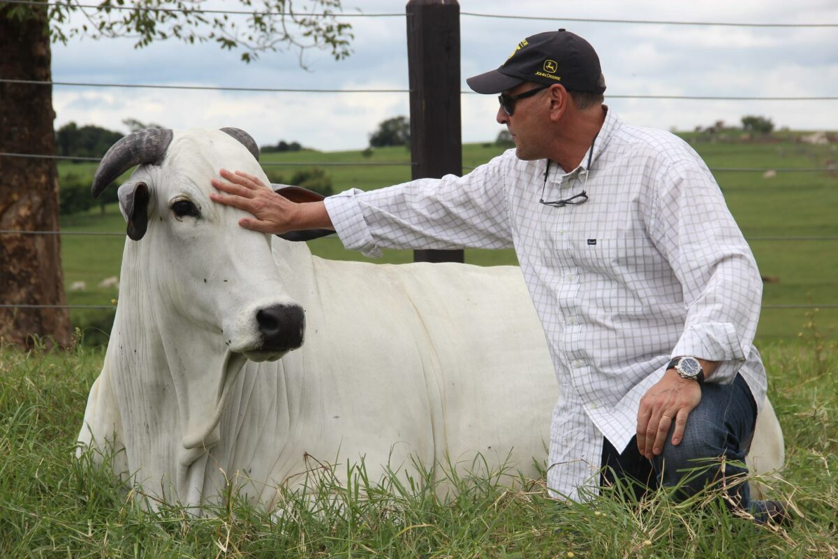 Morre pecuarista que mudou a história do nelore no Brasil