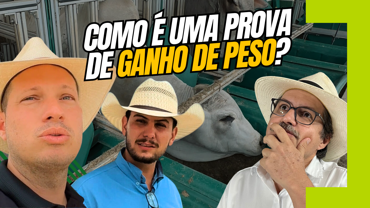 ETAPAS DA PROVA DE GANHO DE PESO NA PECUÁRIA – CINPEC