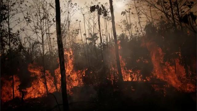 Produtores Rurais do Pará sinalizam apoio ao corpo de bombeiros no combate a incêndios que afetam Zona Rural