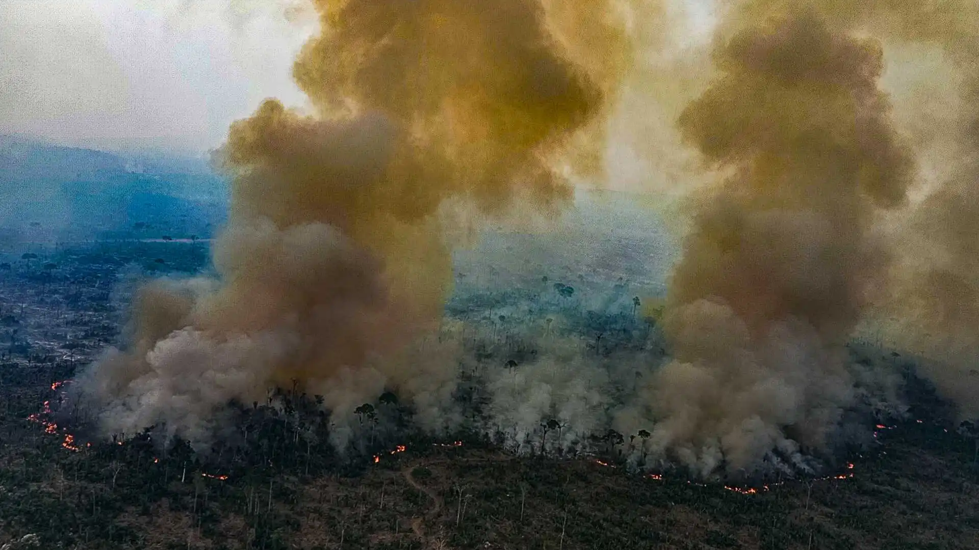 Artigo – Recursos hídricos, queimadas e cinzas: a urgência do necessário equilíbrio na busca pela sustentabilidade ambiental