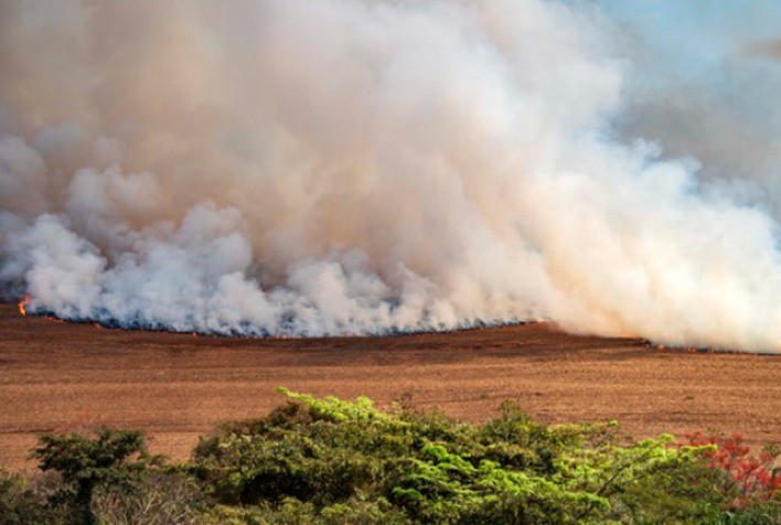 Impactos das Queimadas sobre Produtores de Commodities Agrícolas