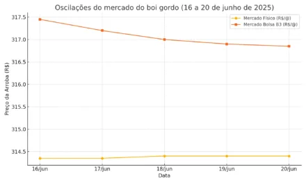 Semana do Boi: mercado físico e bolsa entre 16‑20 jun/25