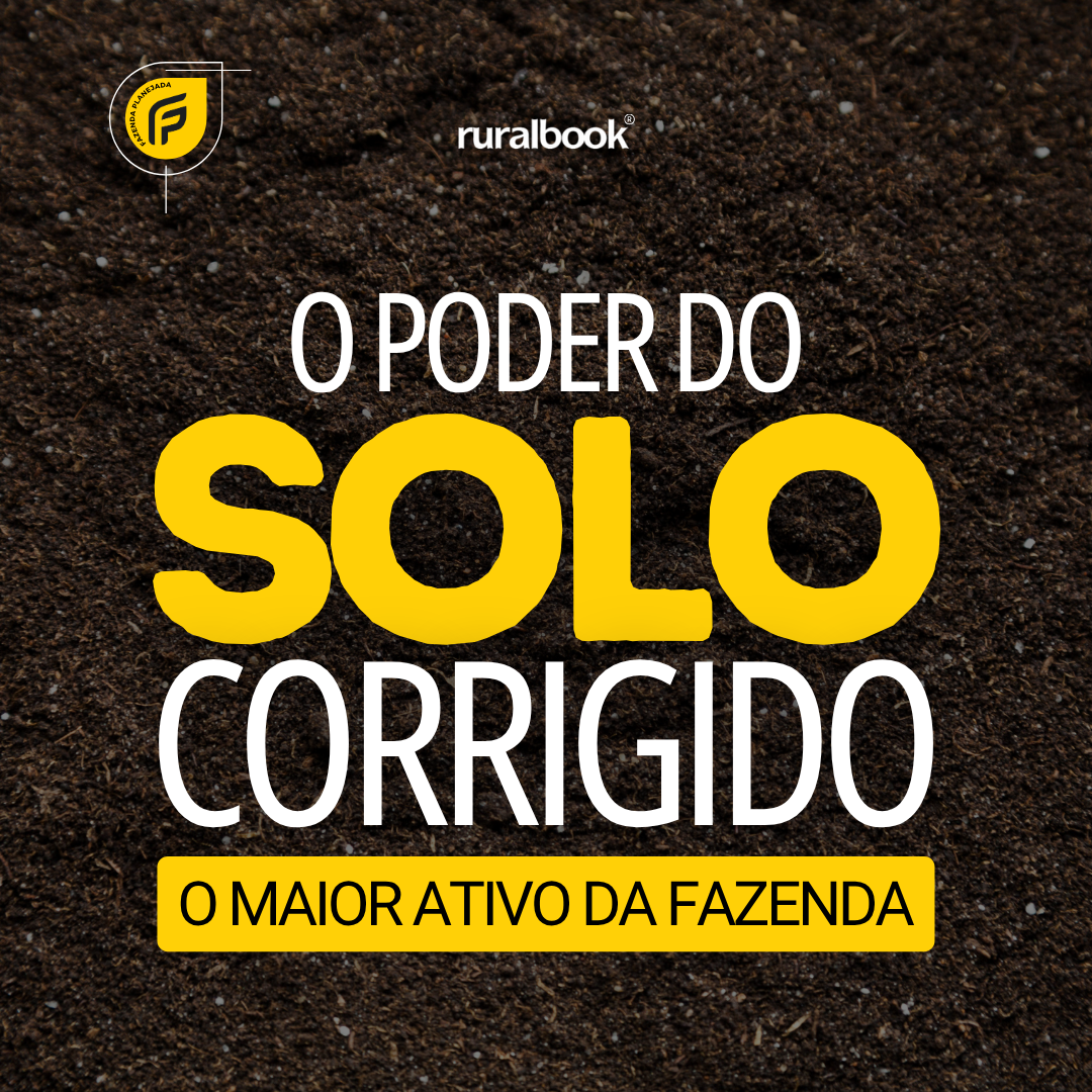 O poder do solo corrigido – O maior ativo da fazenda