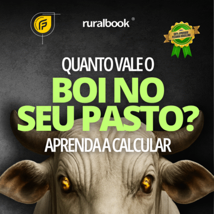Quanto vale o boi no seu pasto? Aprenda a calcular