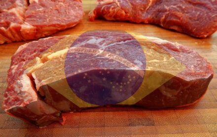 Carne bovina brasileira ganha espaço na indústria dos EUA, mas enfrenta tarifas e desafios