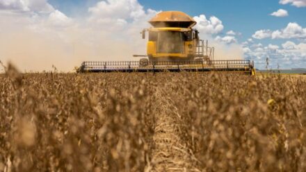 Moratória da Soja suspensa pelo Cade muda regras da sustentabilidade no agro