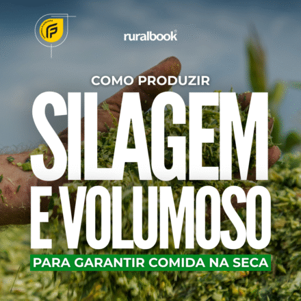Como produzir Silagem e Volumoso para garantir comida na seca
