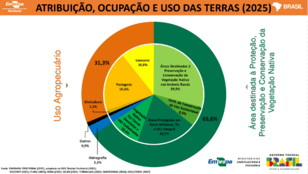 Produção & Preservação: o novo retrato territorial rural do Brasil