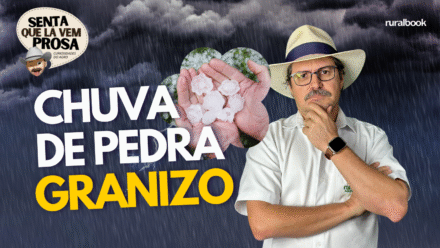 Chuva de granizo: entenda como ela se forma e afeta o campo