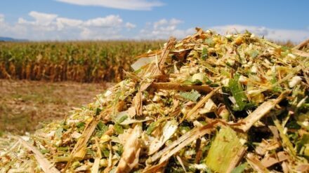 Planejamento forrageiro: a seca não avisa mais no campo