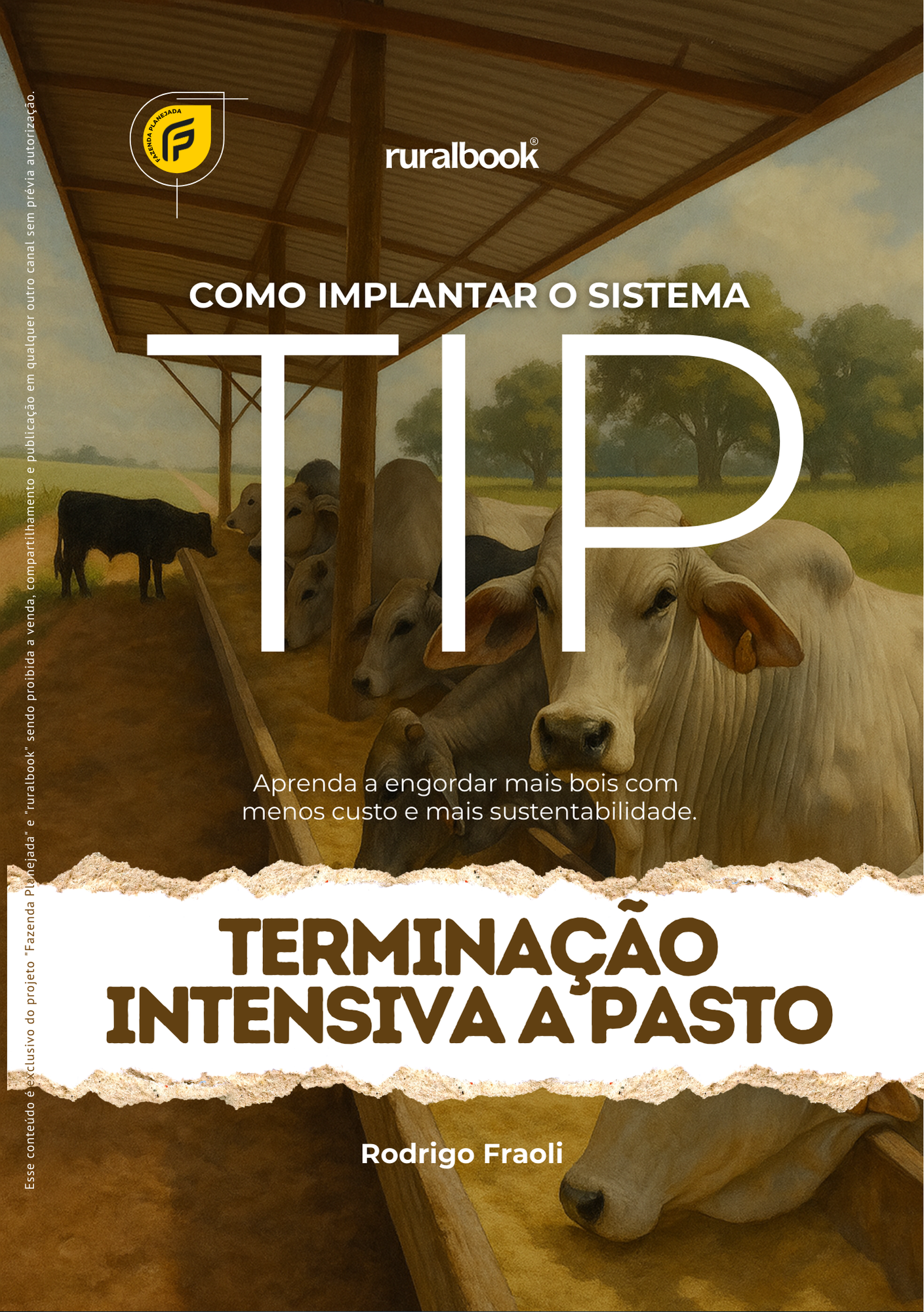 Como implantar a TIP – Terminação Intensiva a Pasto