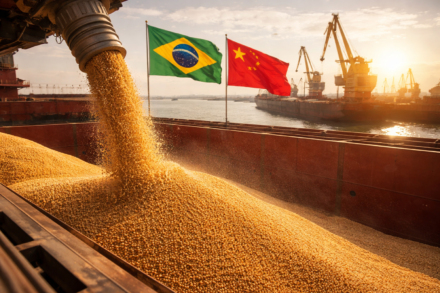 Brasil e China ajustam inspeção da soja e aliviam exportações