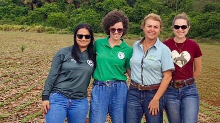 Agricultura Regenerativa: Mulheres que regeneram o Cerrado