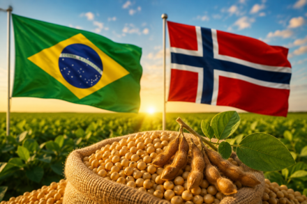 Brasil e Noruega: rivais no futebol, parceiros estratégicos na soja e nos negócios do agro