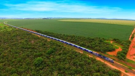Ferrogrão avança após decisão do STF e entra em nova fase de investimentos para transformar a logística do agronegócio