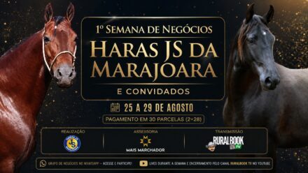 Haras JS da Marajoara abre semana inédita de negócios no Pará