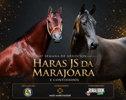 Semana de Negócios do Haras JS movimenta mais de meio milhão de reais