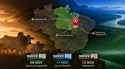 Circuito Nelore chega a Redenção em novembro; veja como participar
