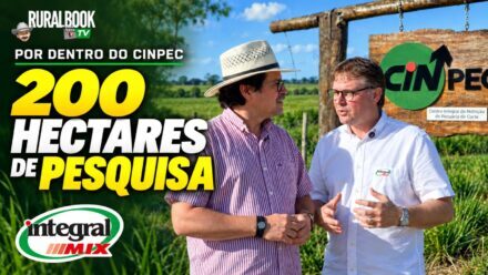 200ha de pesquisa na pecuária de corte, na fazenda do CINPEC – Integral Mix, em Paragominas – PA