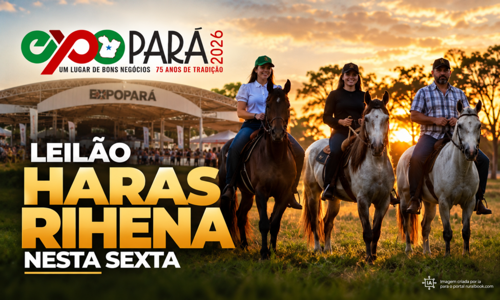 ExpoPará 2026 tem leilão de elite do Haras Rihena nesta sexta